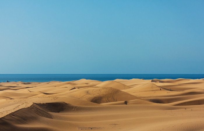Vista de las dunas de Maspalomas (Gran Canaria)