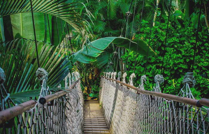 Puentes del Canopy Walk en Taman Negara, Malasia