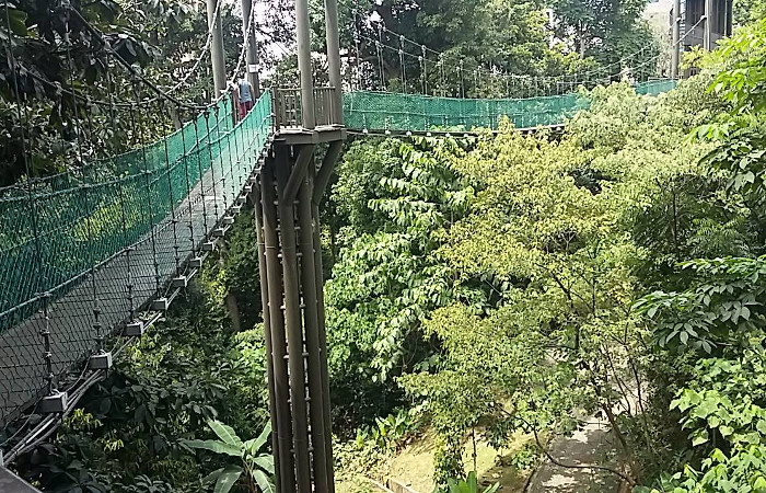 Imagen de los puentes colgantes del KL Forest Eco Park, Kuala Lumpur