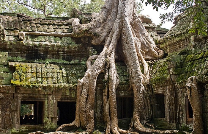 Templo de Ta Phrom en Angkor (Camboya)