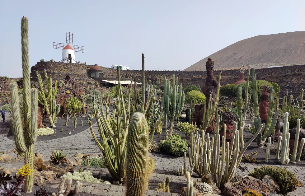Jardín de Cactus (Lanzarote)