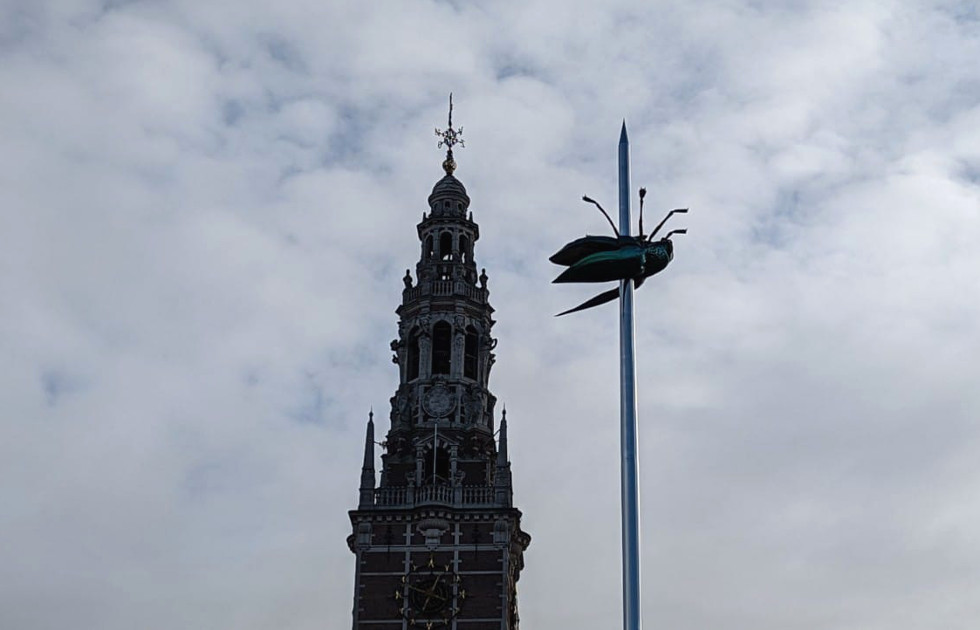 Estatua de la mosca en Ladeuzeplein (Lovaina, Bélgica)