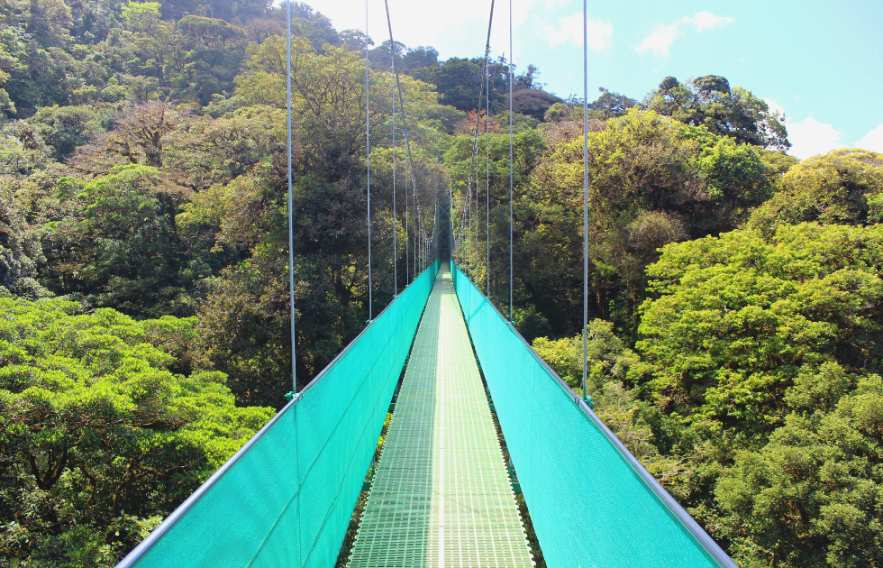 Puente colgante en Selvatura en Monteverde