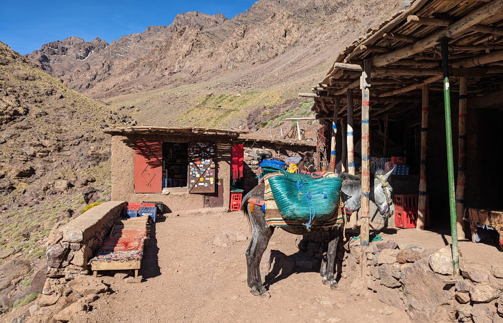 Mulas en la subida al refugio del Toubkal